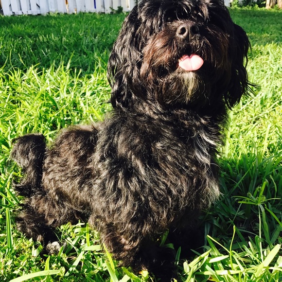 Meet your Posher, Barrie - Picture 1 of 1